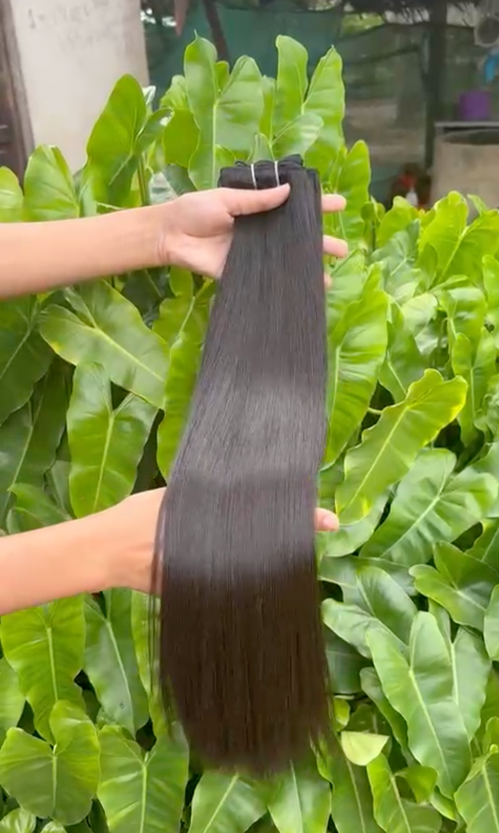 Straight Raw Hairs